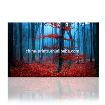 Dropship Service Canvas Print / Forest Canvas Wall Art / Autumn Landscape Canvas Art